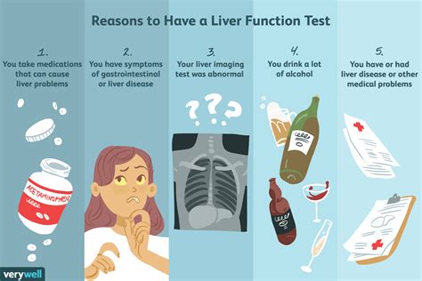 effect.of.hard exercise.on liver function blood test results|exercise and liver function levels.